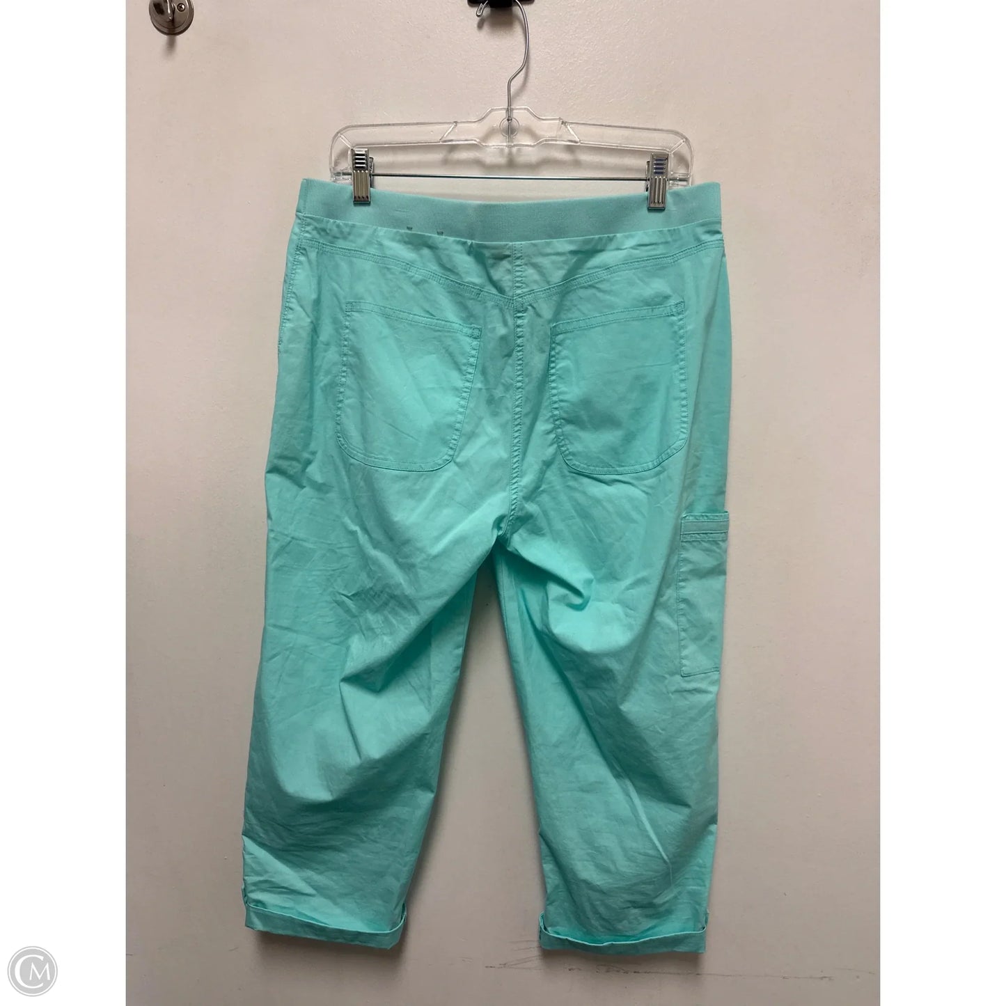 Capris By Chicos In Aqua, Size: 6