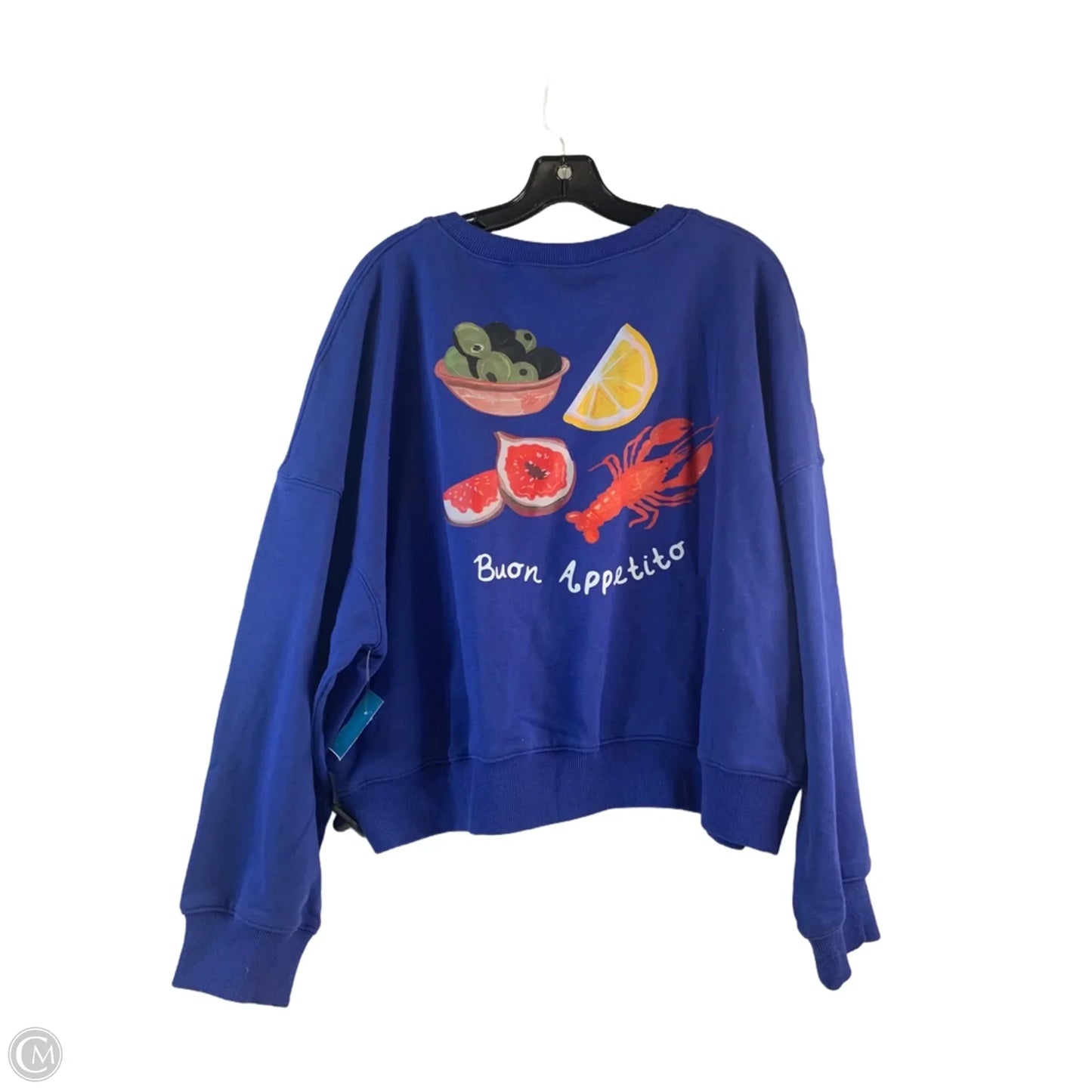 Sweatshirt Crewneck By Clothes Mentor In Blue, Size: L