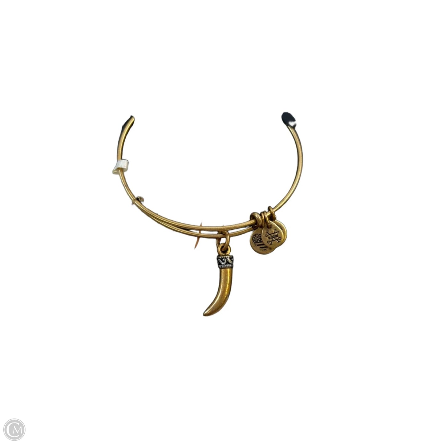 Bracelet Bangle By Alex And Ani