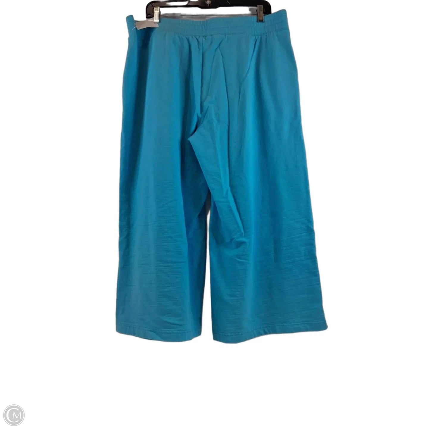 Pants Cropped By Talbots In Aqua, Size: 14