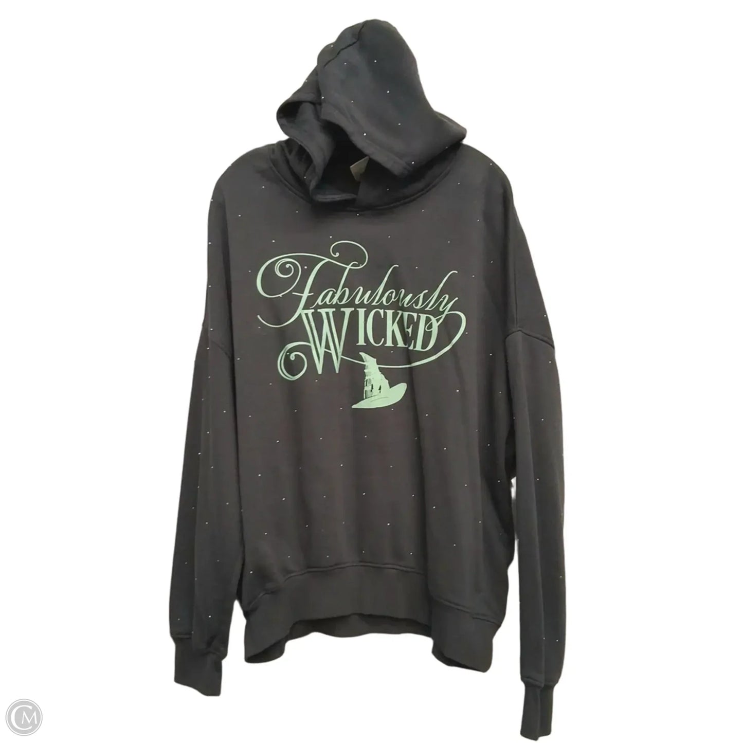 Athletic Sweatshirt Hoodie In Grey, Size: 1x