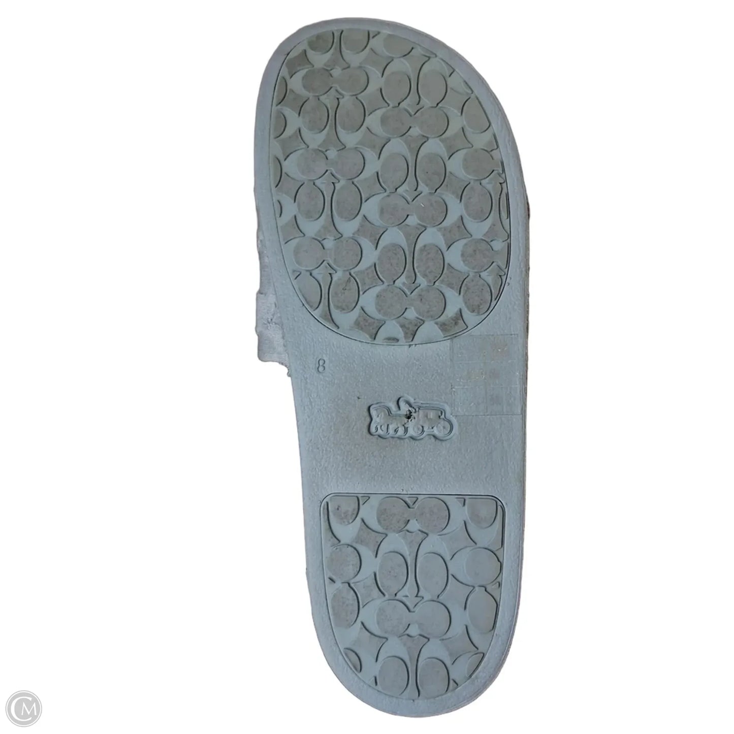 Sandals Designer By Coach In Teal, Size: 8