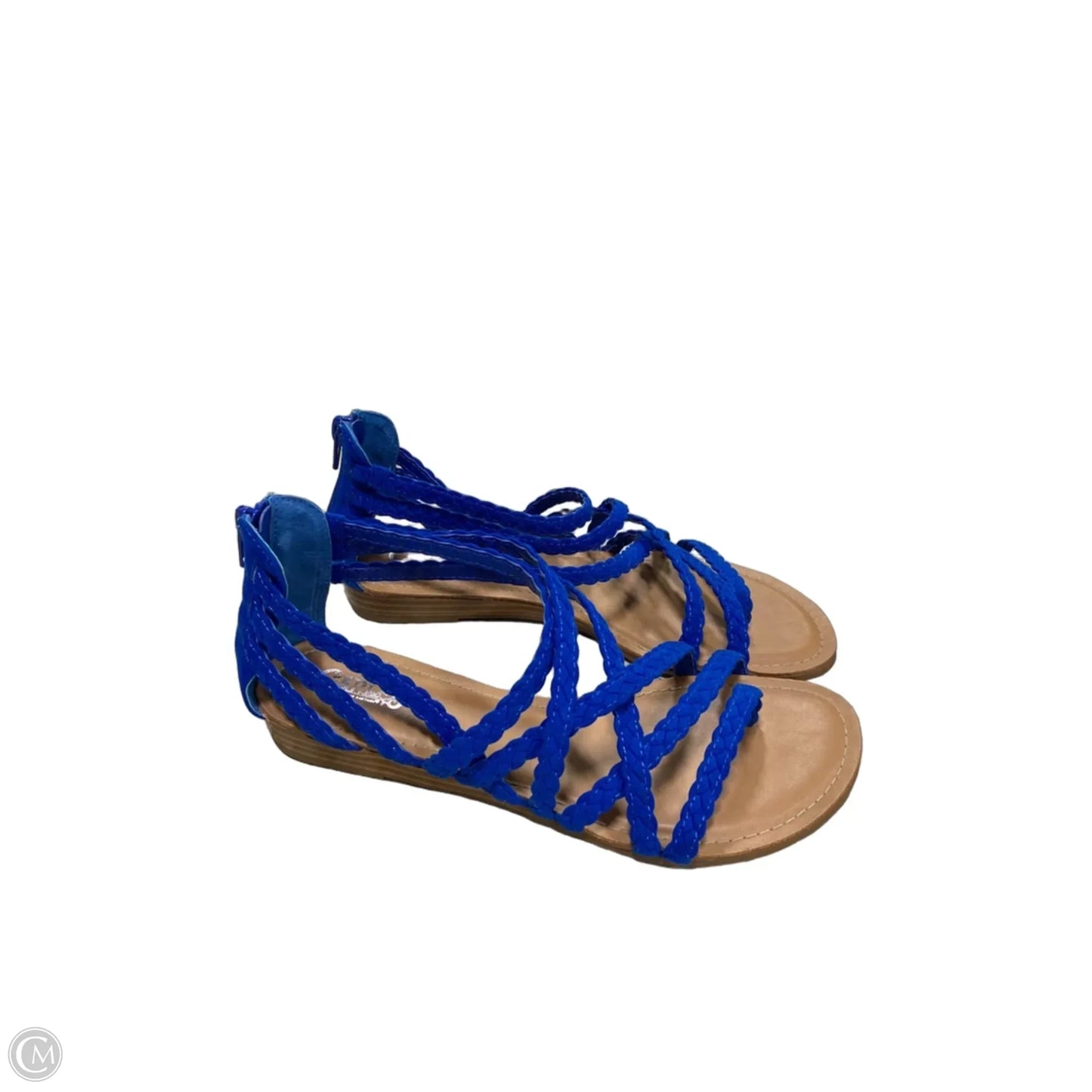 Sandals Flats By Carlos Santana In Blue, Size: 8