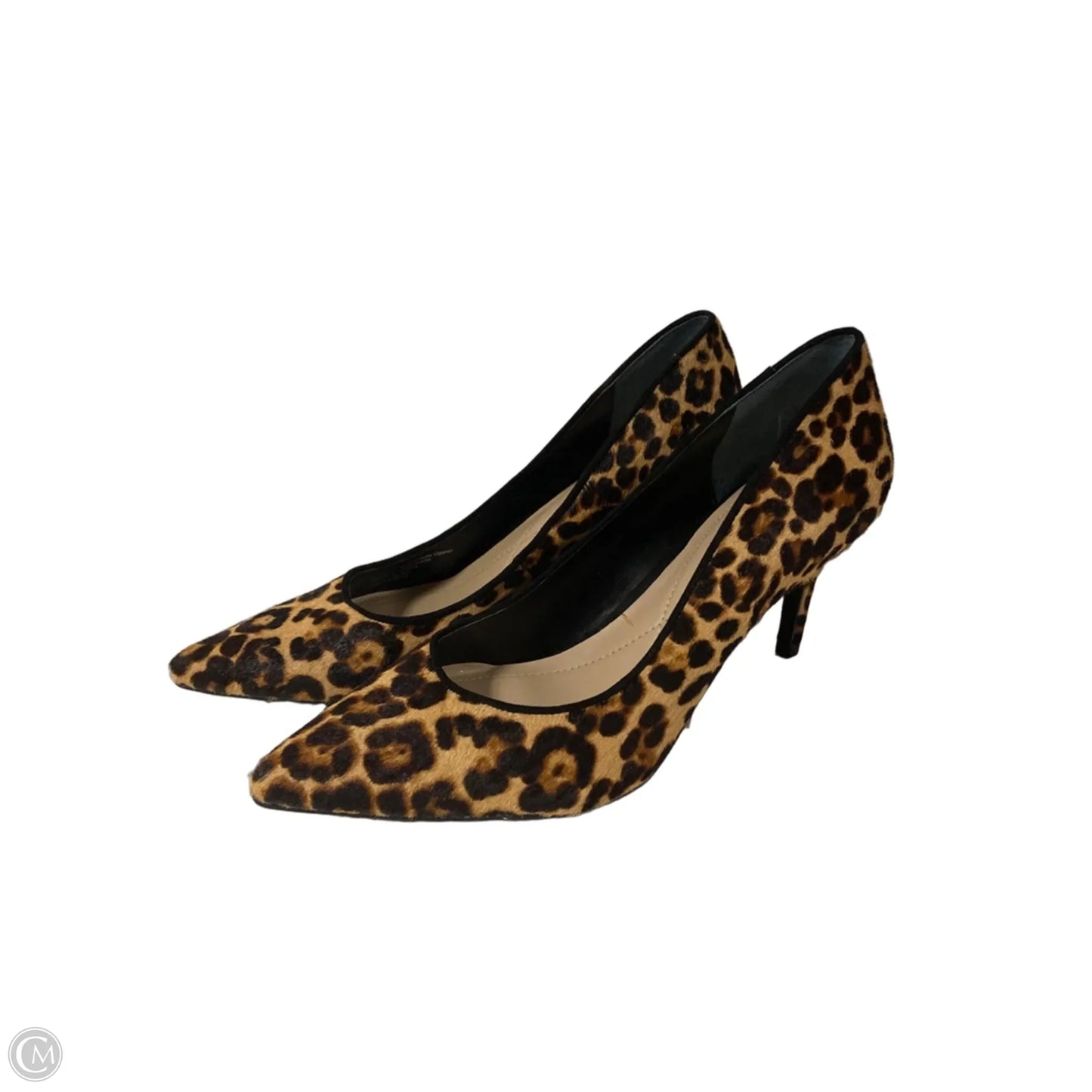 Shoes Heels Stiletto By Alfani In Leopard Print, Size: 9
