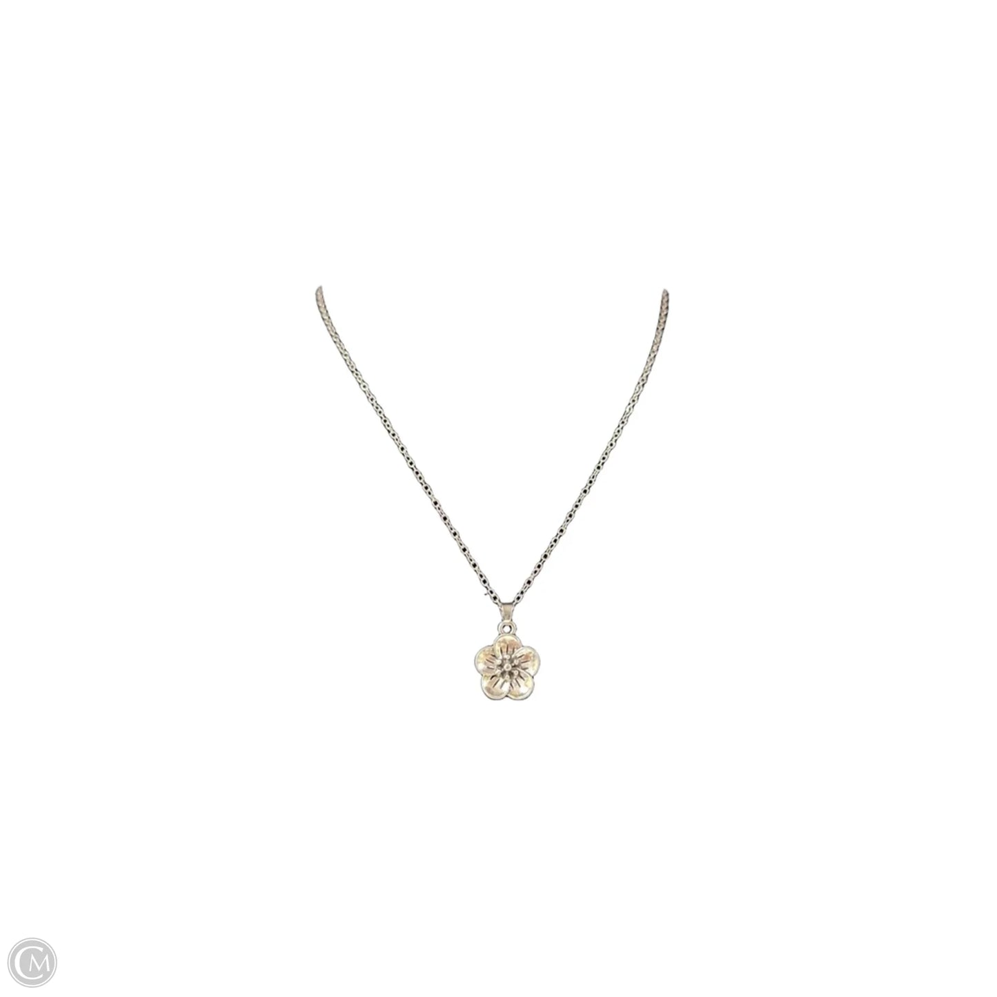 Necklace Chain By Clothes Mentor
