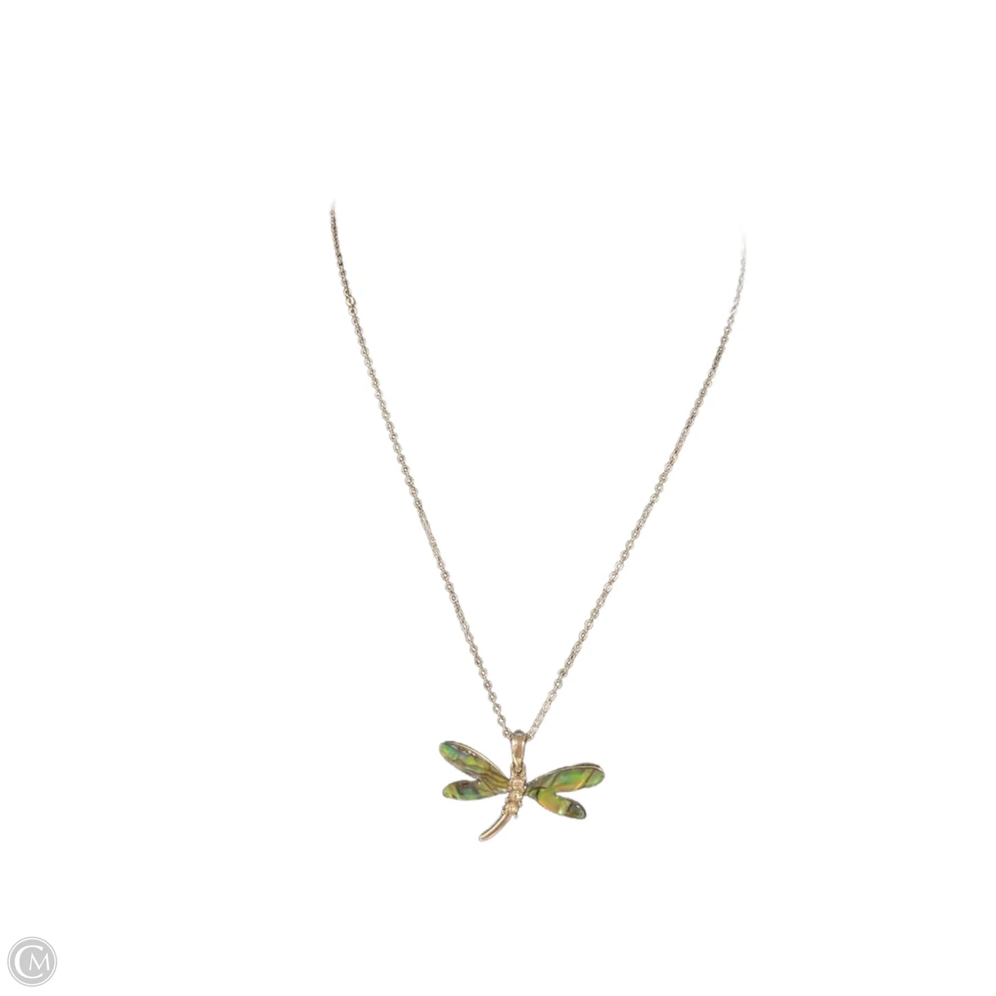 Necklace Chain By Clothes Mentor