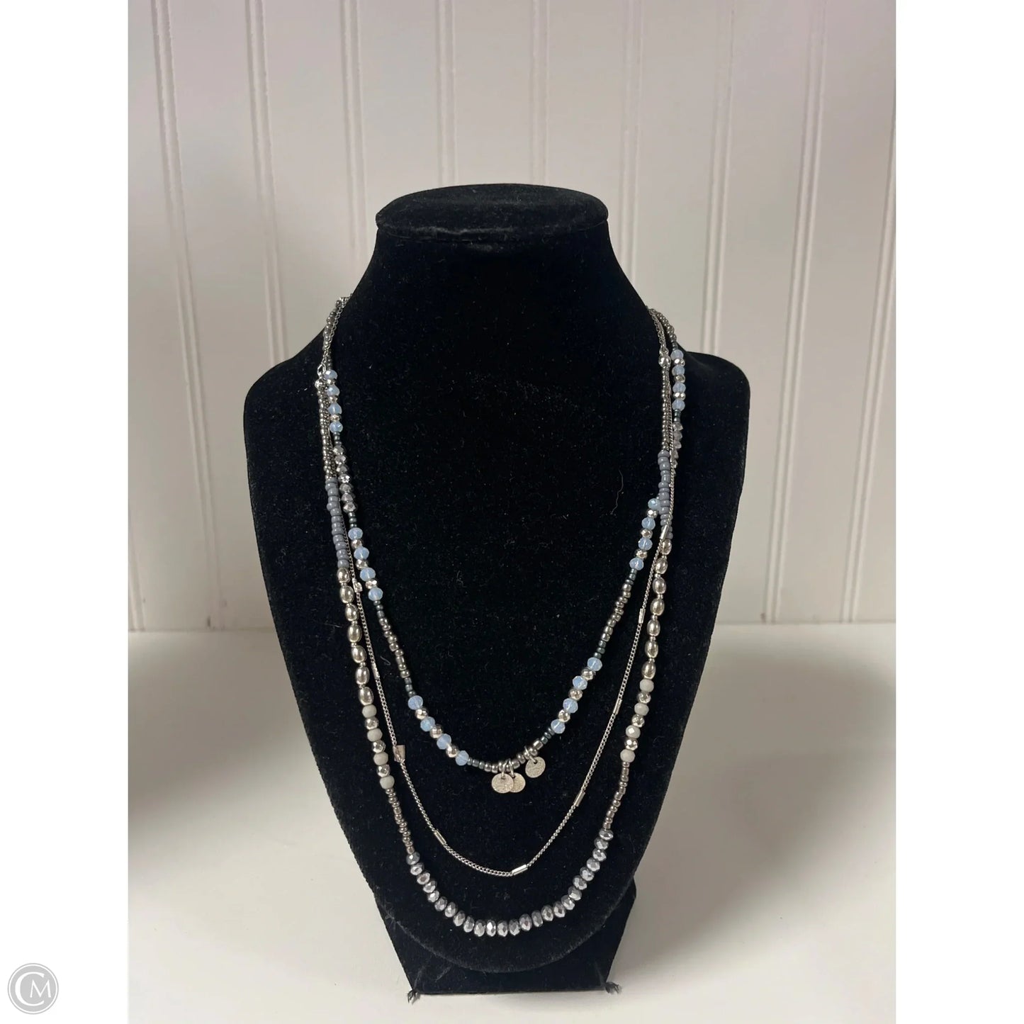 Necklace Layered By Clothes Mentor