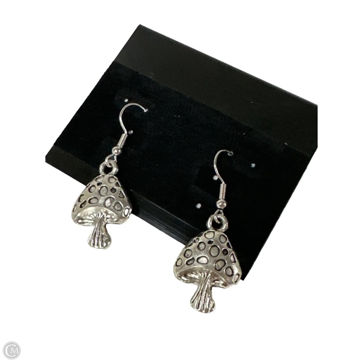 Earrings Dangle/drop By Clothes Mentor