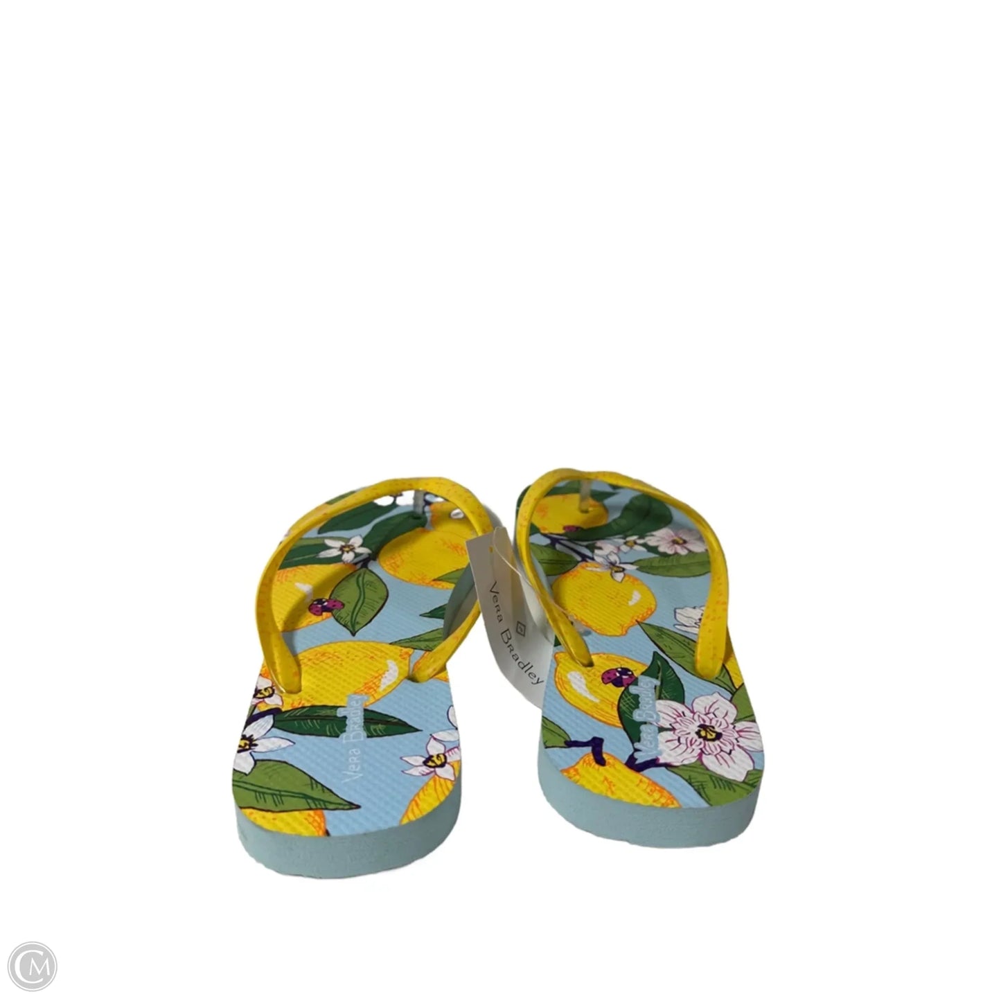 Sandals Flip Flops By Vera Bradley In Blue & Yellow, Size: 7.5