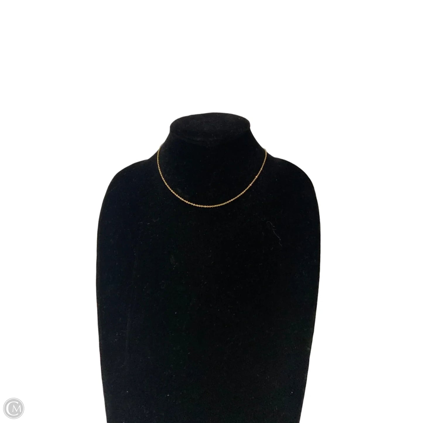 Necklace Chain By Clothes Mentor
