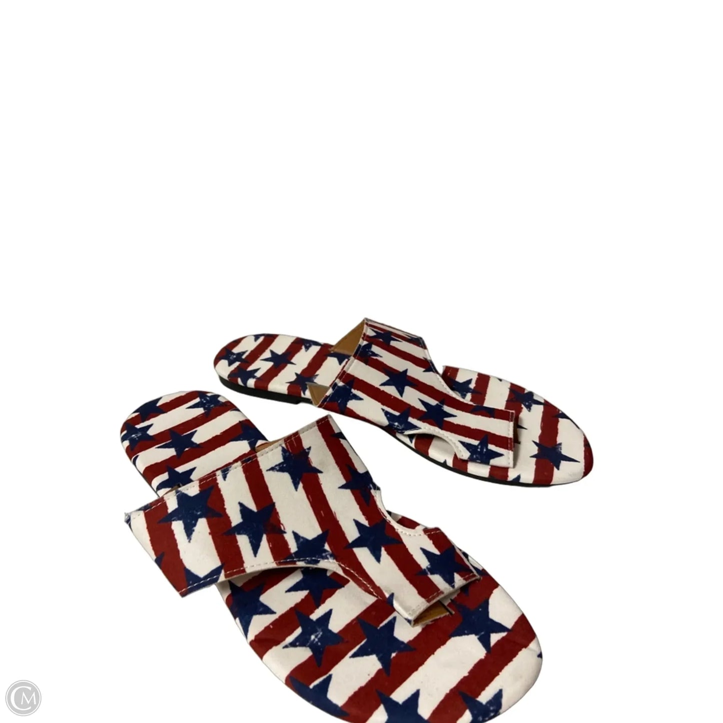 Sandals Flip Flops By Clothes Mentor In Striped Pattern, Size: 10.5