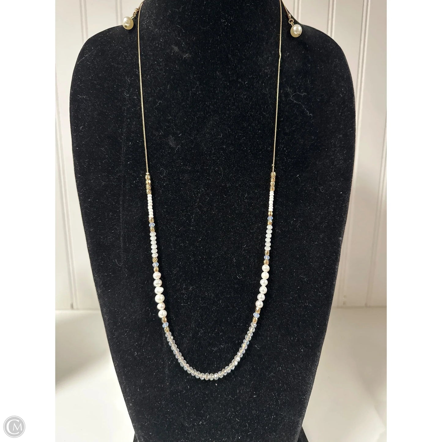 Necklace Chain By Clothes Mentor