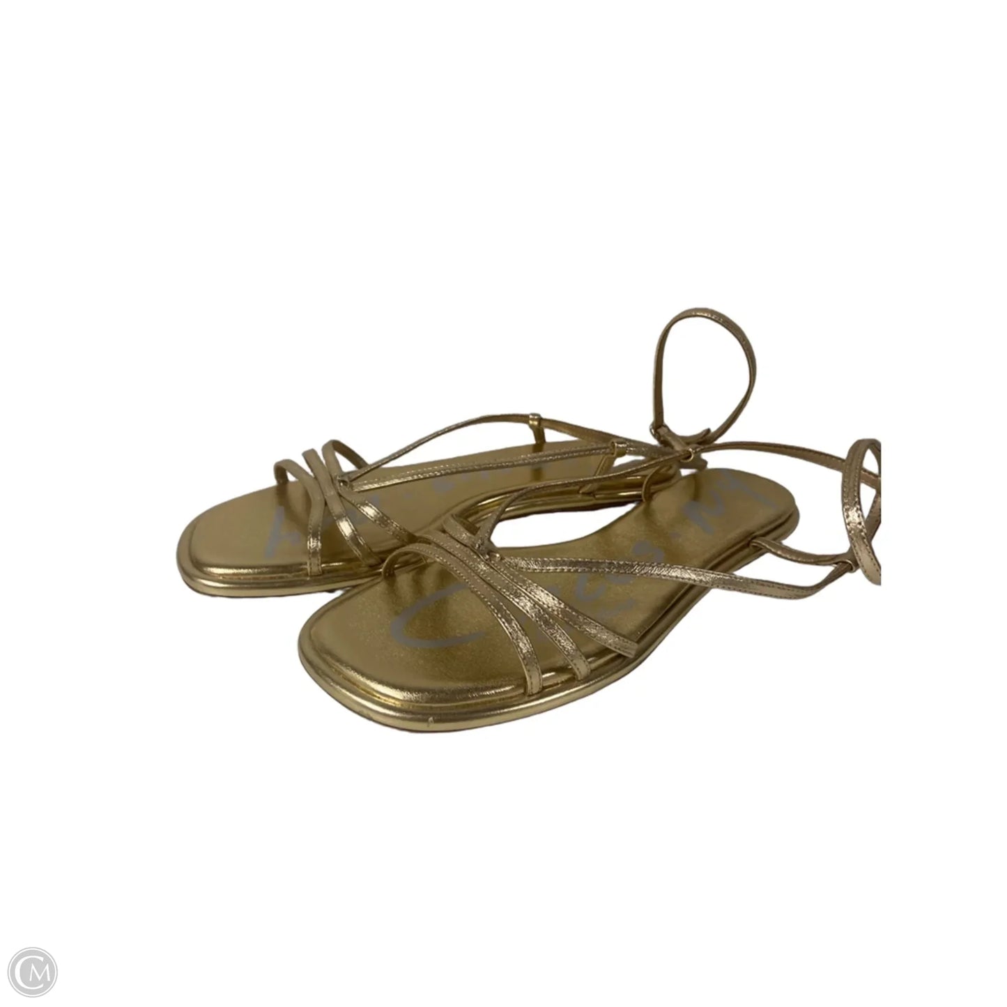 Sandals Flats By Circus By Sam Edelman In Gold, Size: 9
