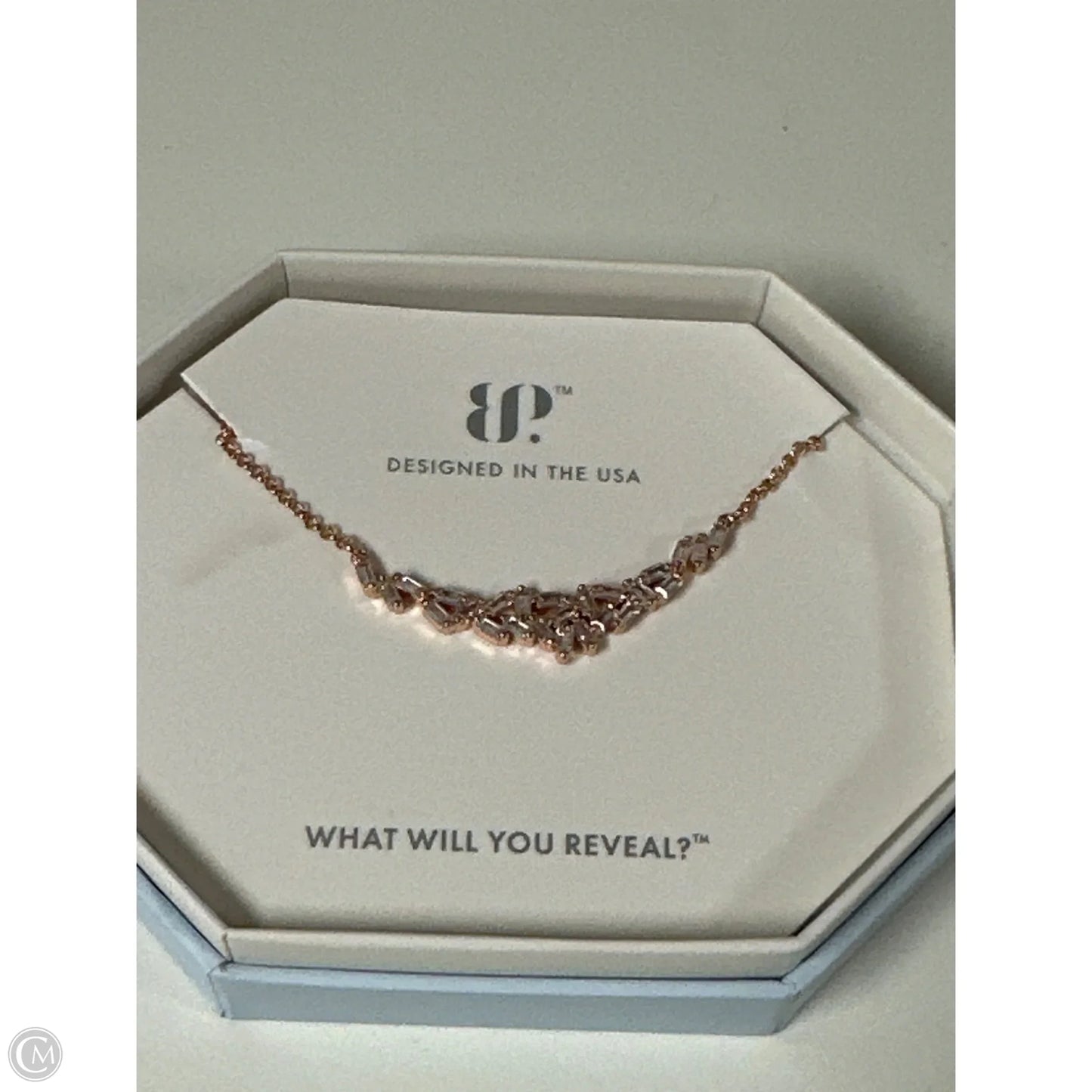 Necklace Chain By Clothes Mentor