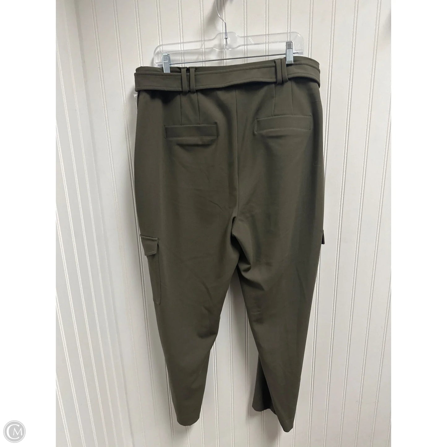 Pants Cargo & Utility By Express In Green, Size: 16