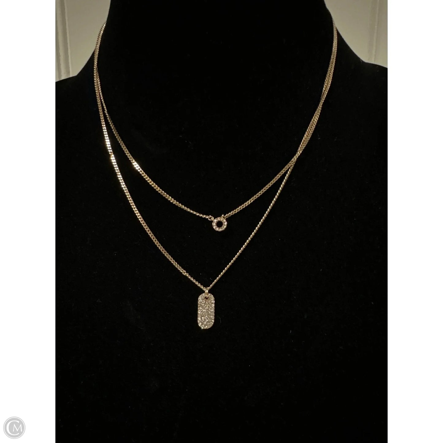 Necklace Layered By Dkny