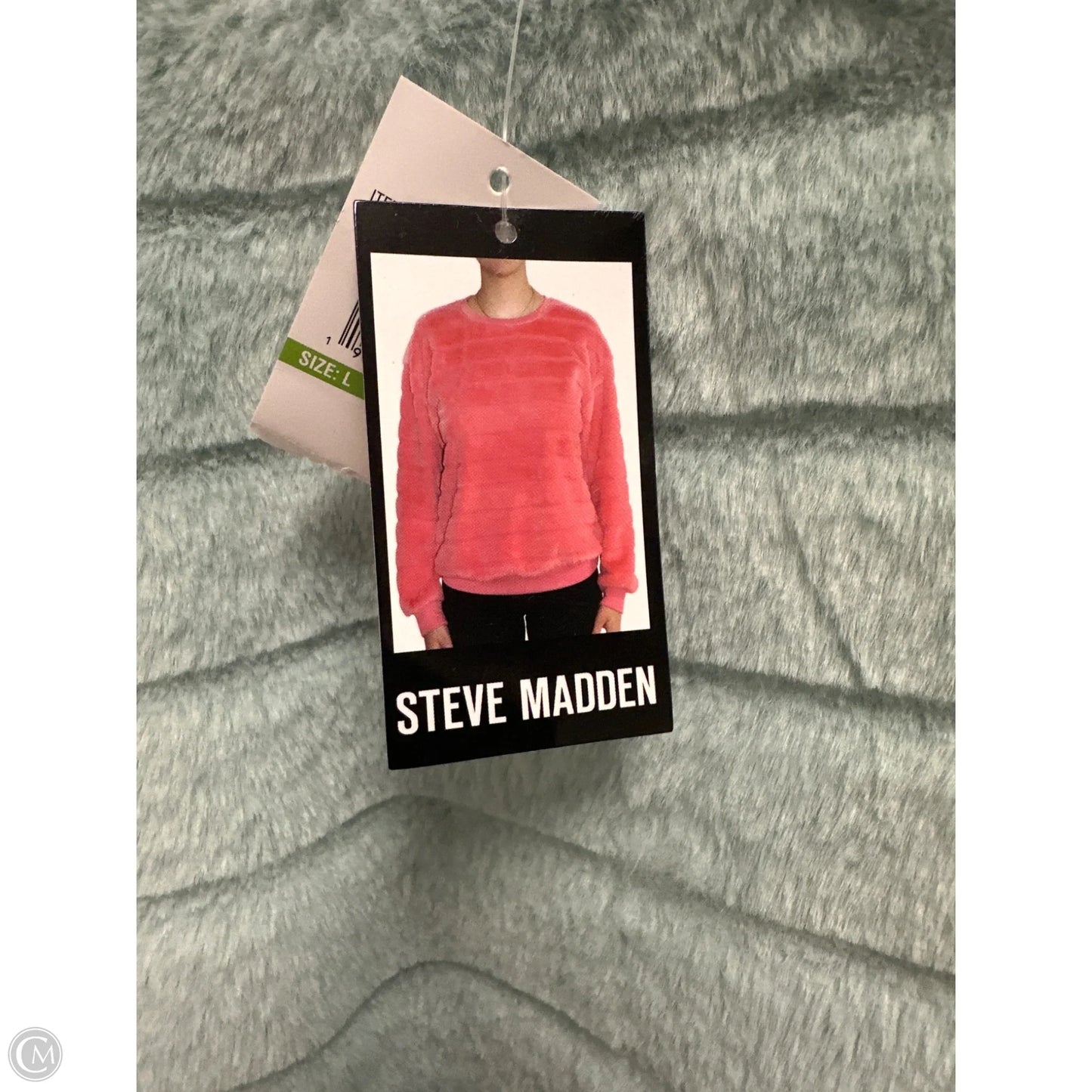 Sweater By Steve Madden In Aqua, Size: L