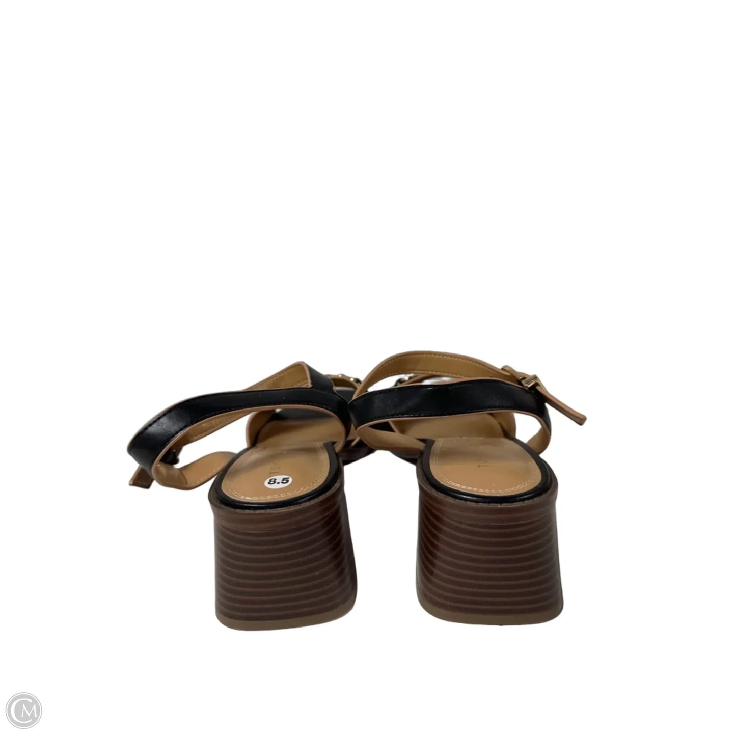 Sandals Heels Block By Tommy Hilfiger In Black, Size: 8.5