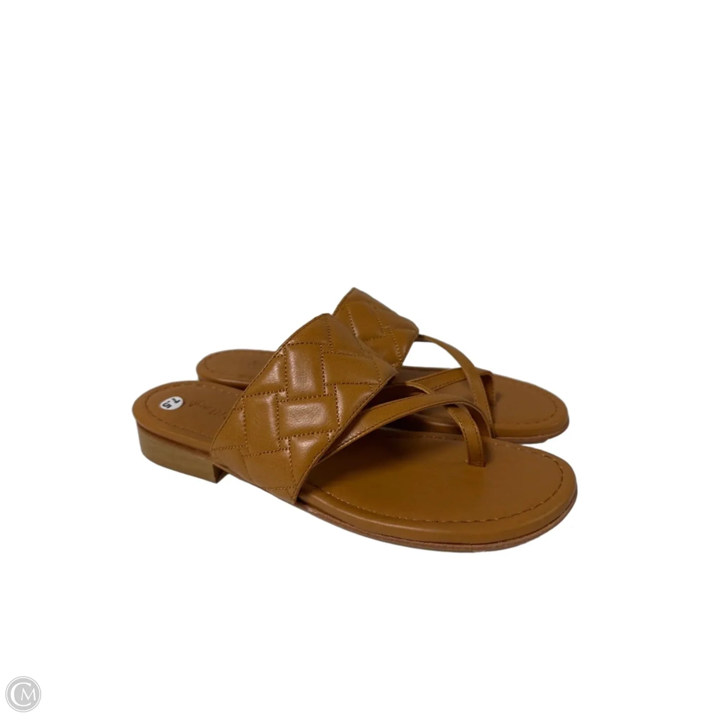 Sandals Flip Flops By J Mclaughlin In Tan, Size: 7.5