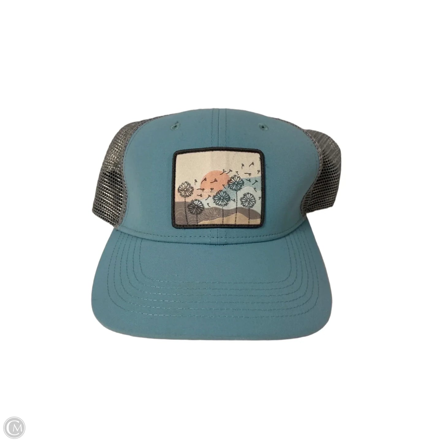 Hat Baseball Cap By Clothes Mentor