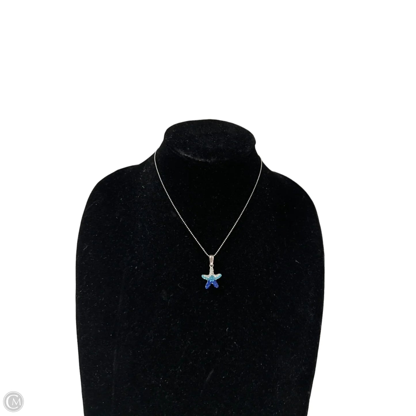 Necklace Charm By Clothes Mentor, Size: 1