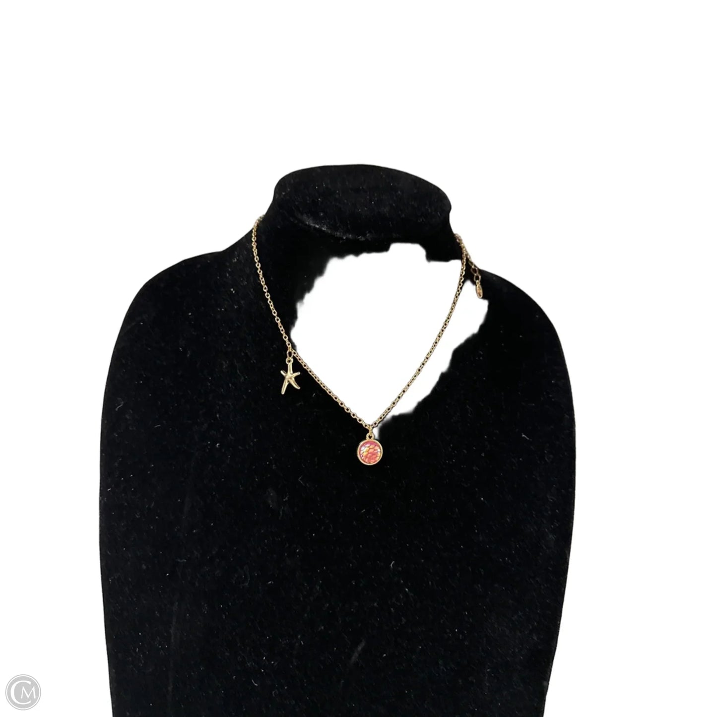 Necklace Charm By Clothes Mentor, Size: 1
