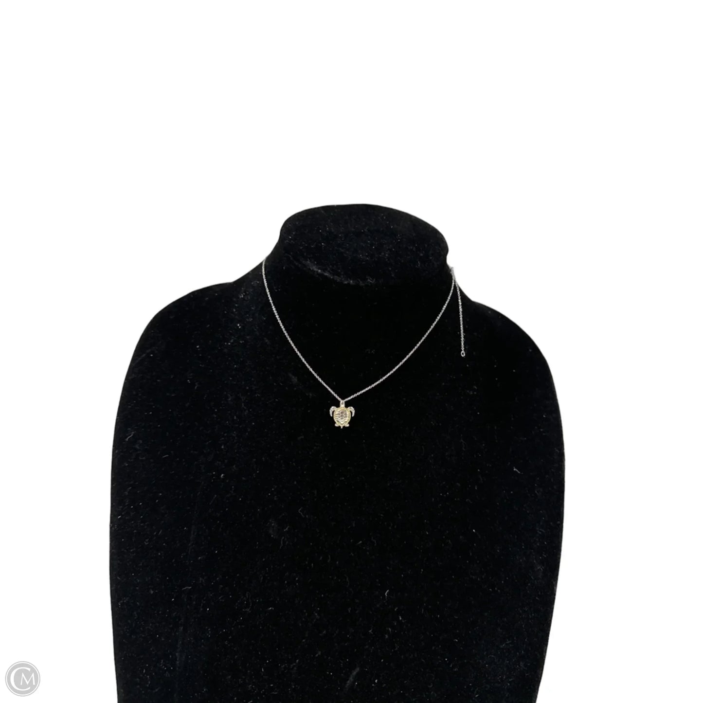 Necklace Charm By Clothes Mentor, Size: 1
