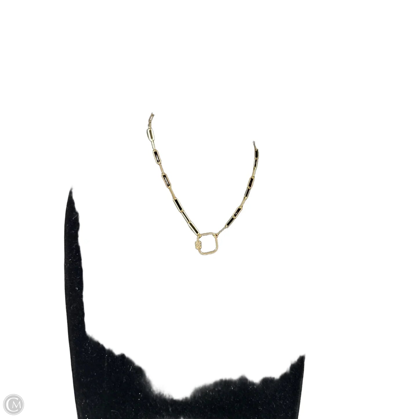 Necklace Chain By Clothes Mentor, Size: 1