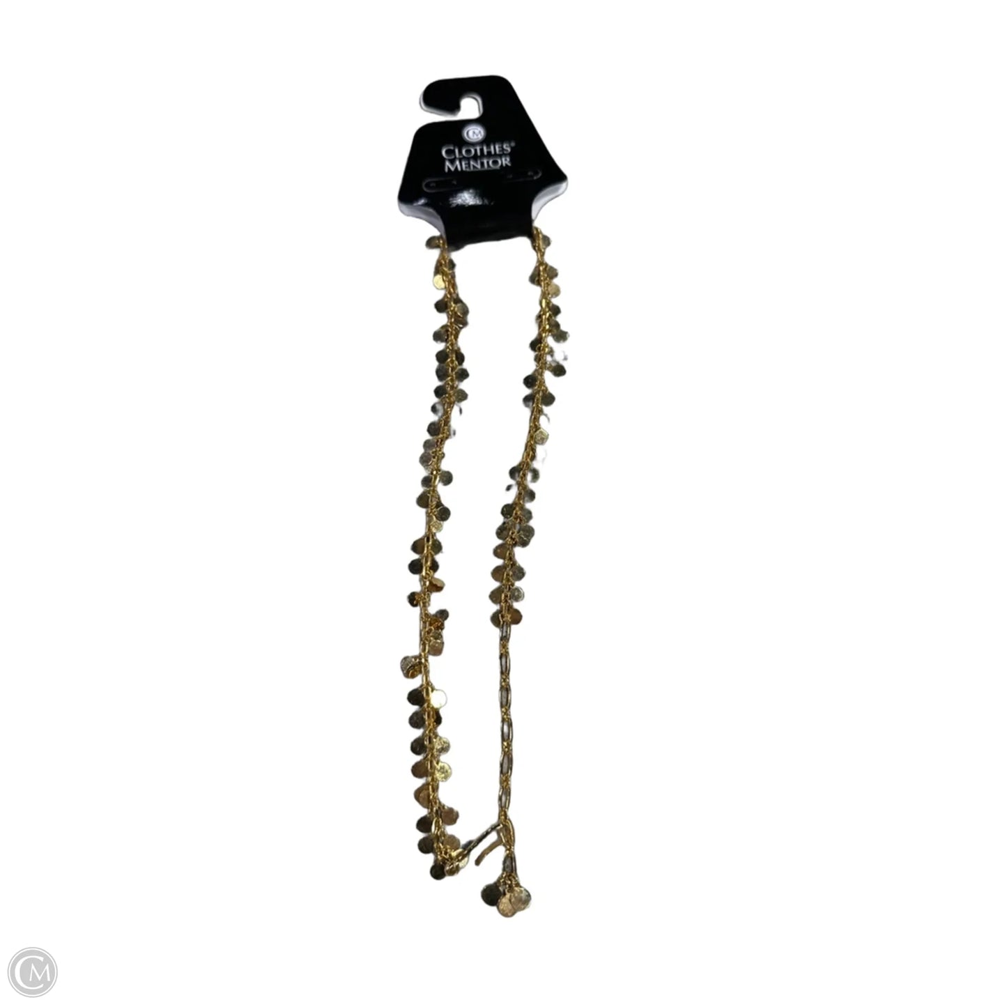 Necklace Chain By Clothes Mentor, Size: 1