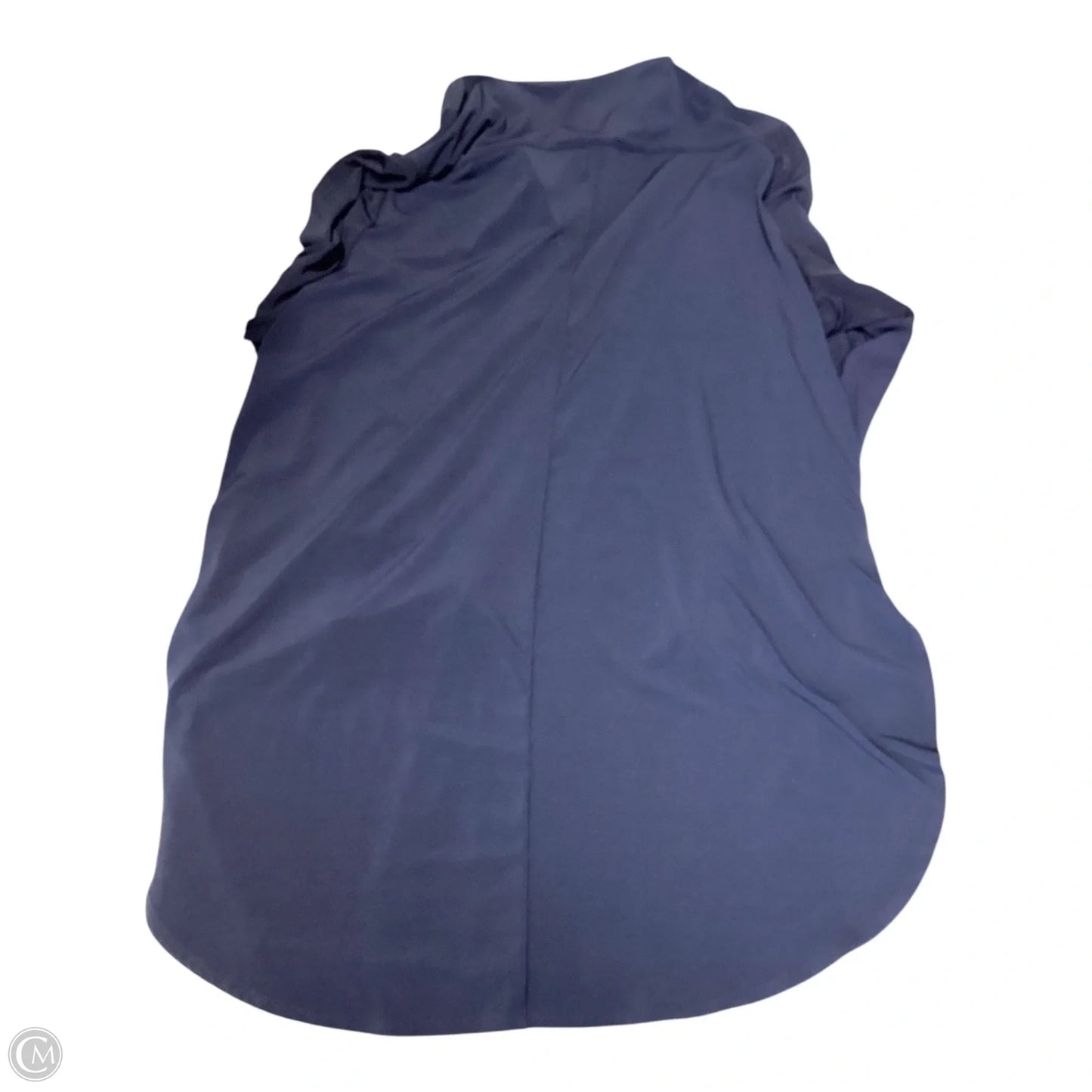 Blouse Long Sleeve By Chicos In Blue, Size: Xl