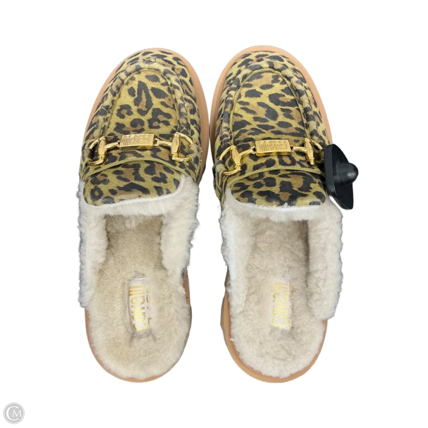 Shoes Heels Platform By Clothes Mentor In Animal Print, Size: 6