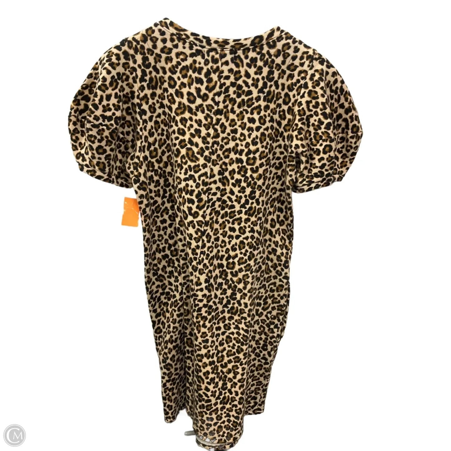 Dress Casual Short By Velvet By Graham & Spencer In Animal Print, Size: S