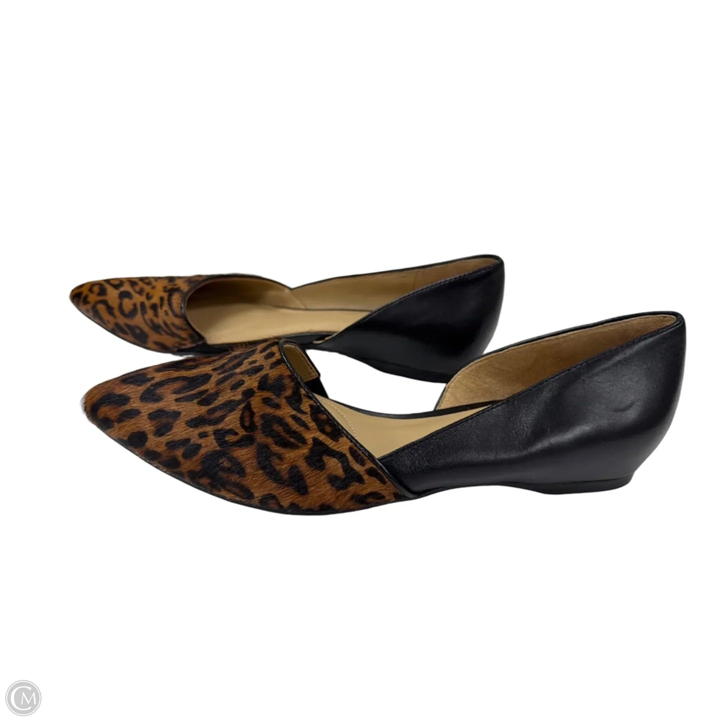 Shoes Flats By Naturalizer In Animal Print, Size: 8