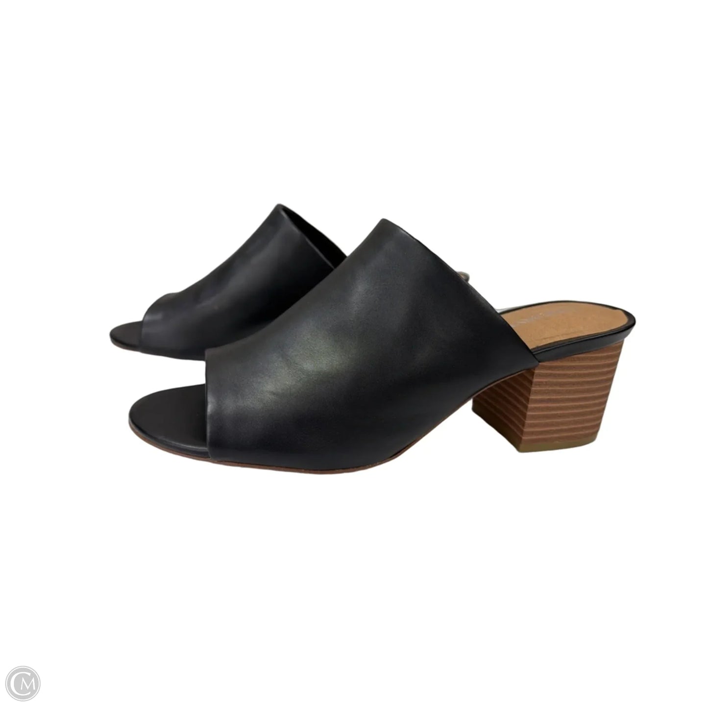 Sandals Heels Block By Lane Bryant In Black, Size: 10