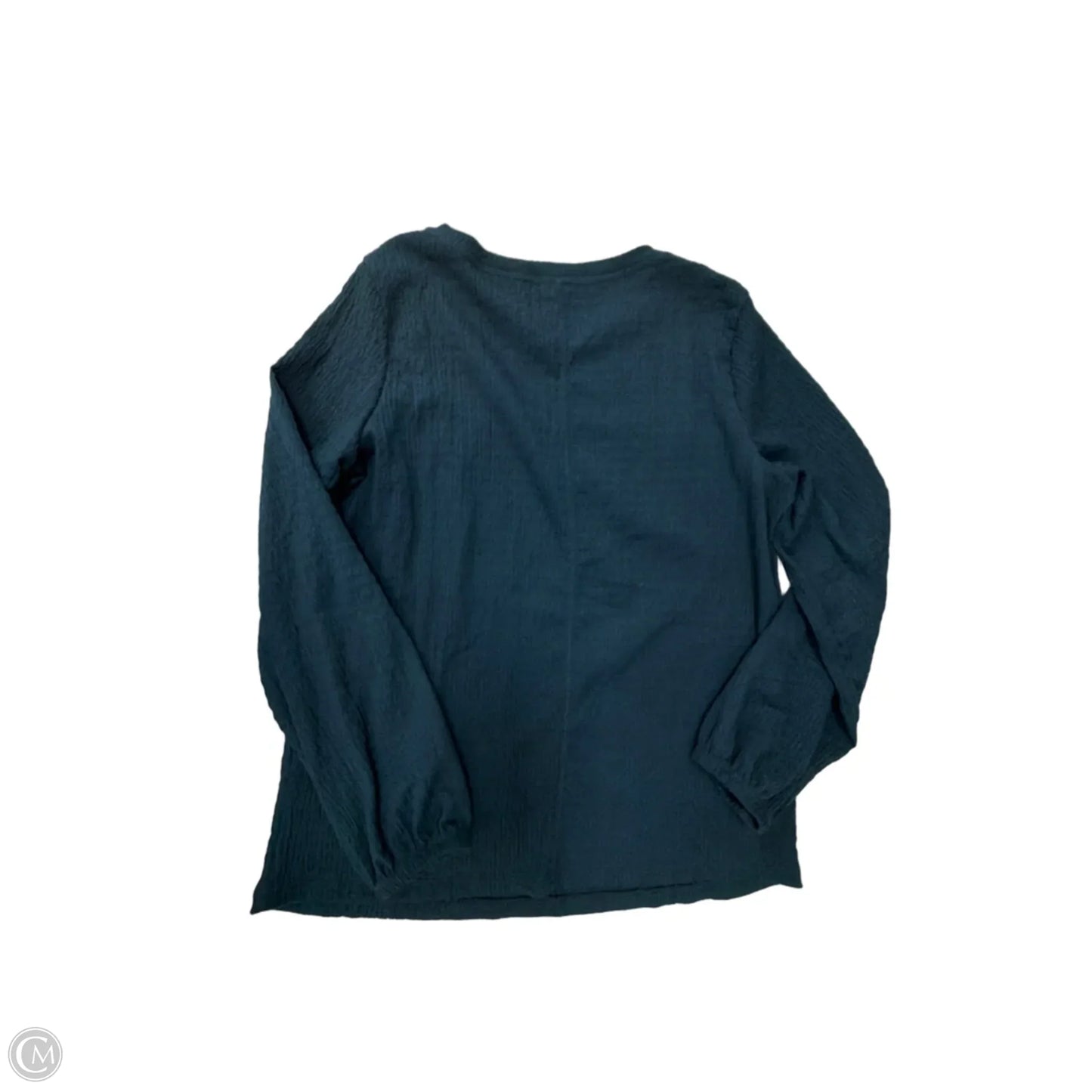 Top Long Sleeve By Absolutely Famous In Blue, Size: S