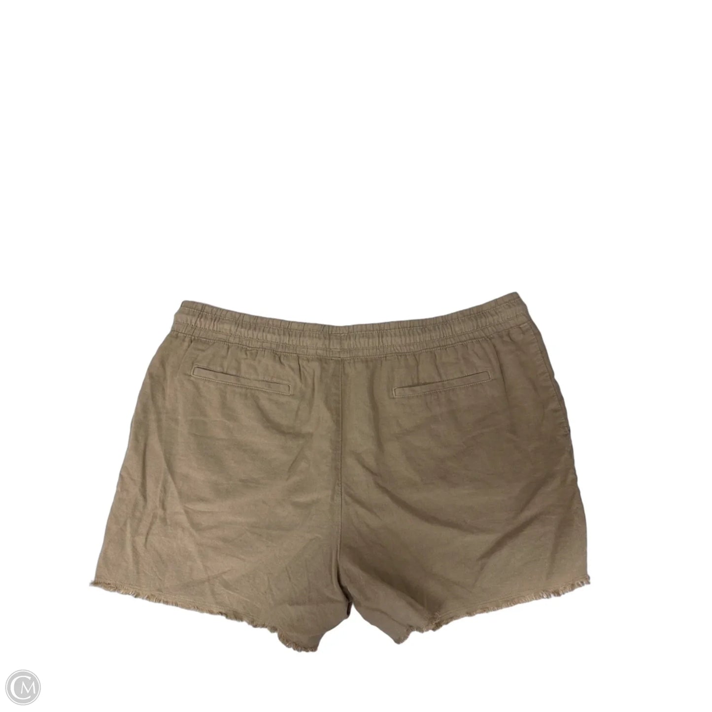 Shorts By Time And Tru In Tan, Size: 20