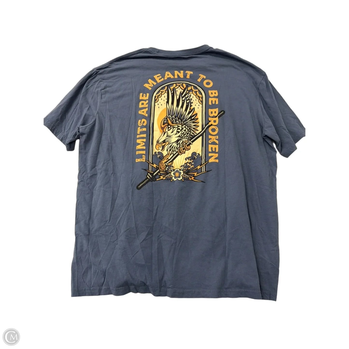 Top Short Sleeve By the lift box In Blue, Size: 3x