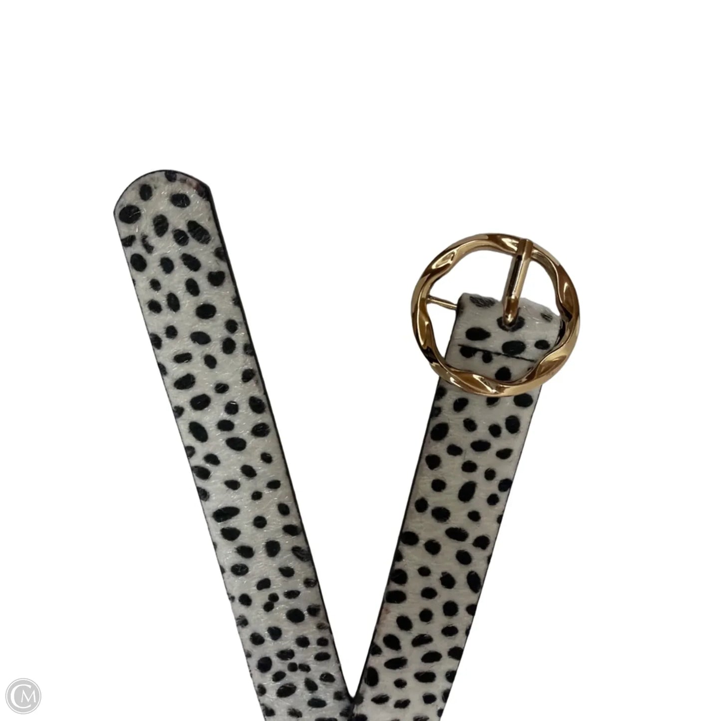 Belt By Clothes Mentor
