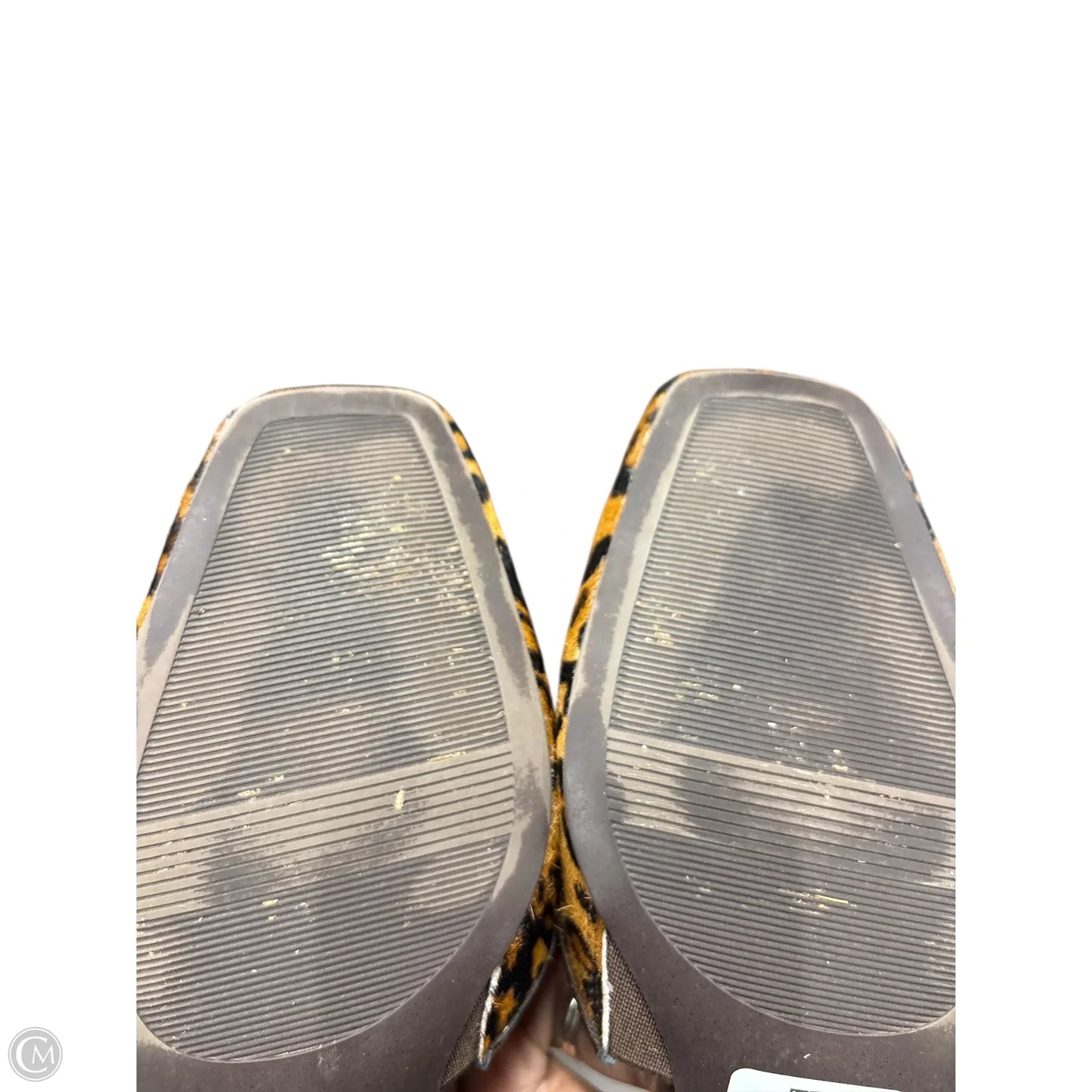 Shoes Heels Block By Naturalizer In Animal Print, Size: 8.5