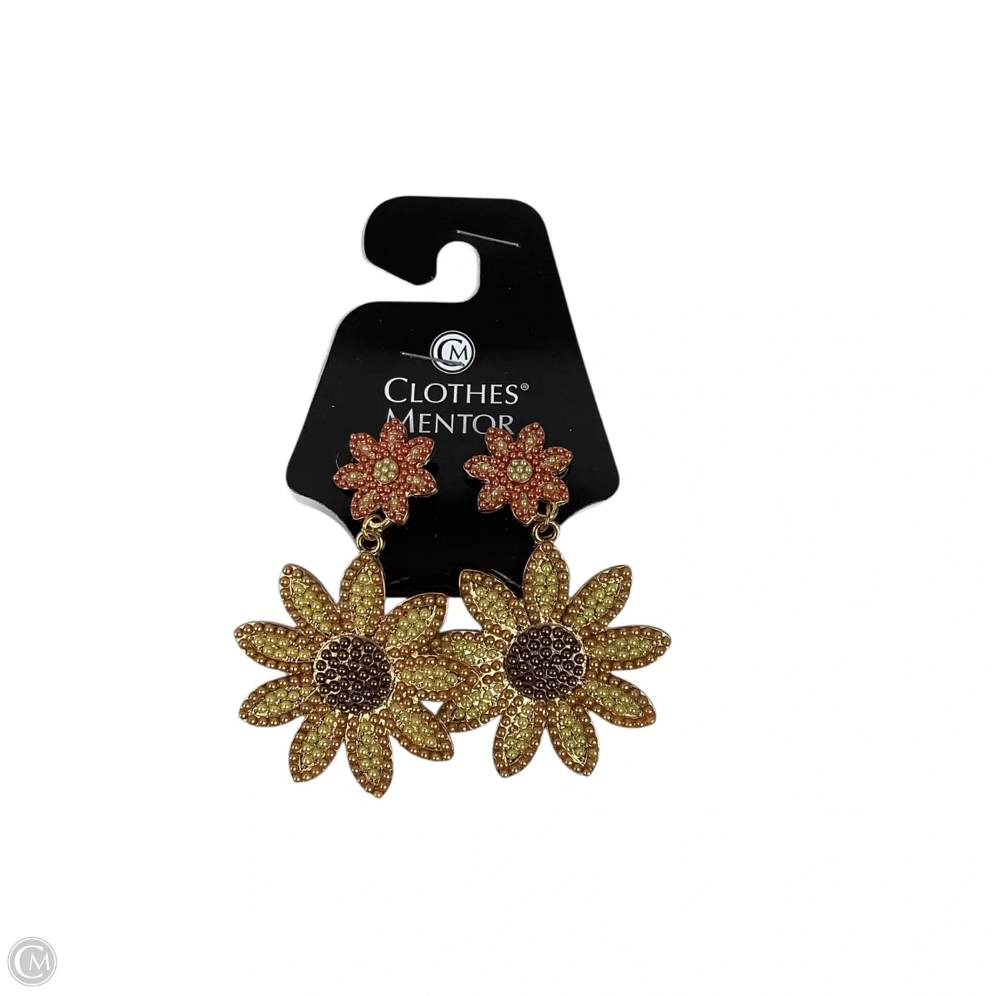 Earrings Statement By Clothes Mentor