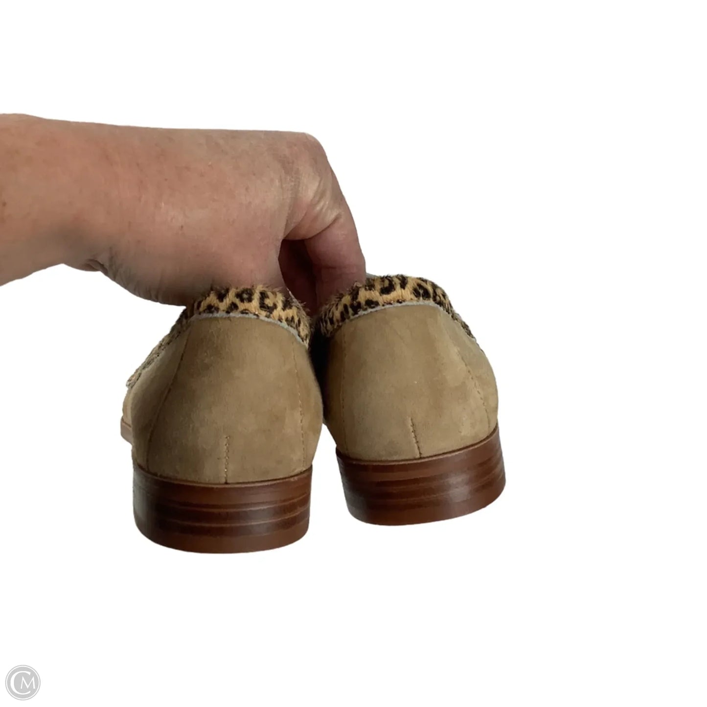 Shoes Flats By Cmb In Animal Print, Size: 8