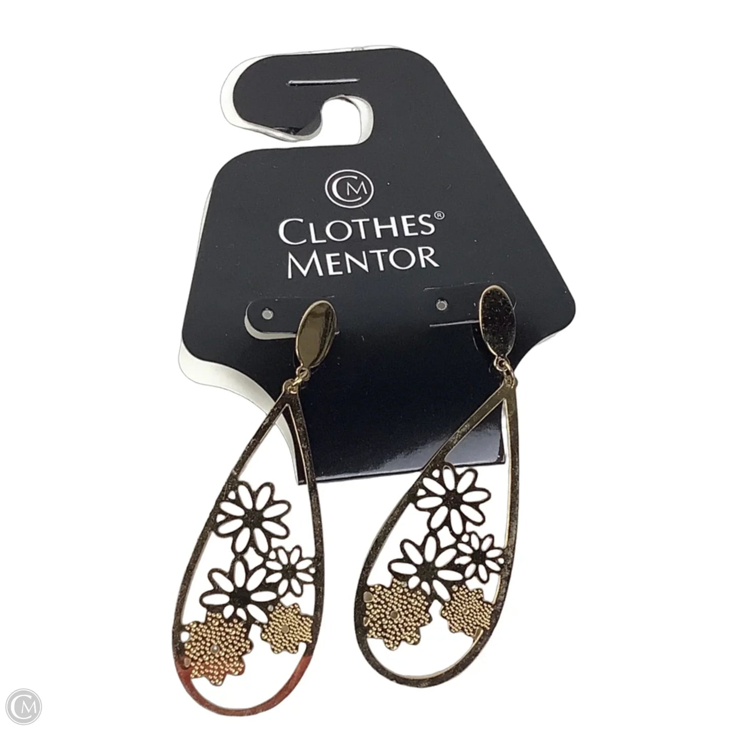 Earrings Dangle/drop By Clothes Mentor, Stainless steal