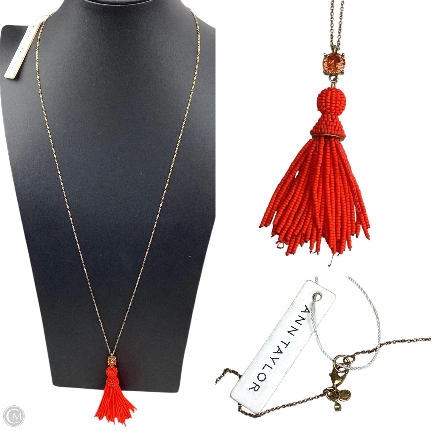 Necklace Chain By Ann Taylor