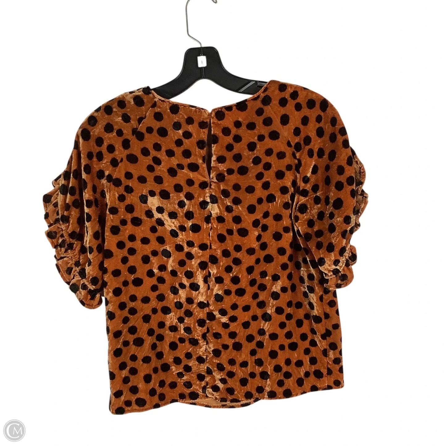 Top Short Sleeve By Madewell In Animal Print, Size: Xxs