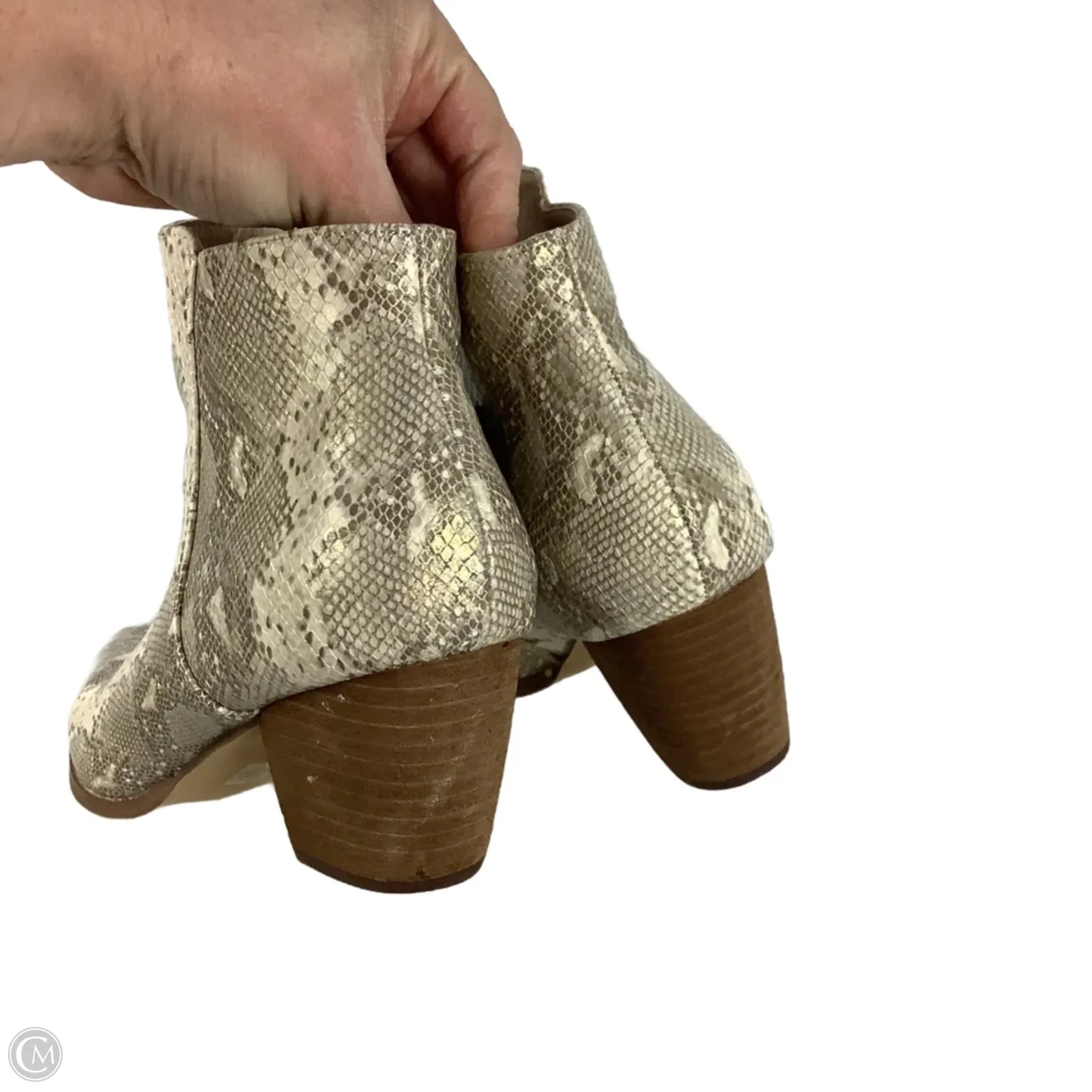 Boots Ankle Heels By Coconuts In Animal Print, Size: 8.5