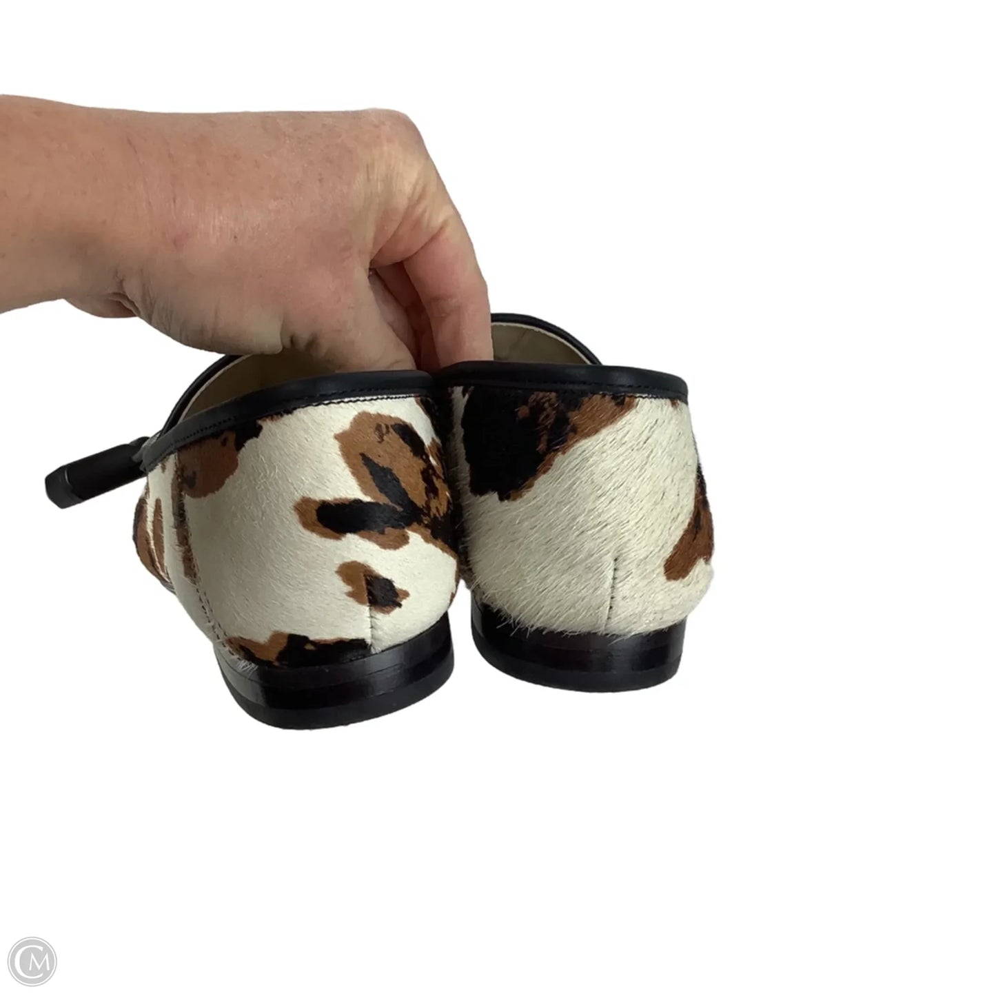 Shoes Flats By Sam Edelman In Animal Print, Size: 8