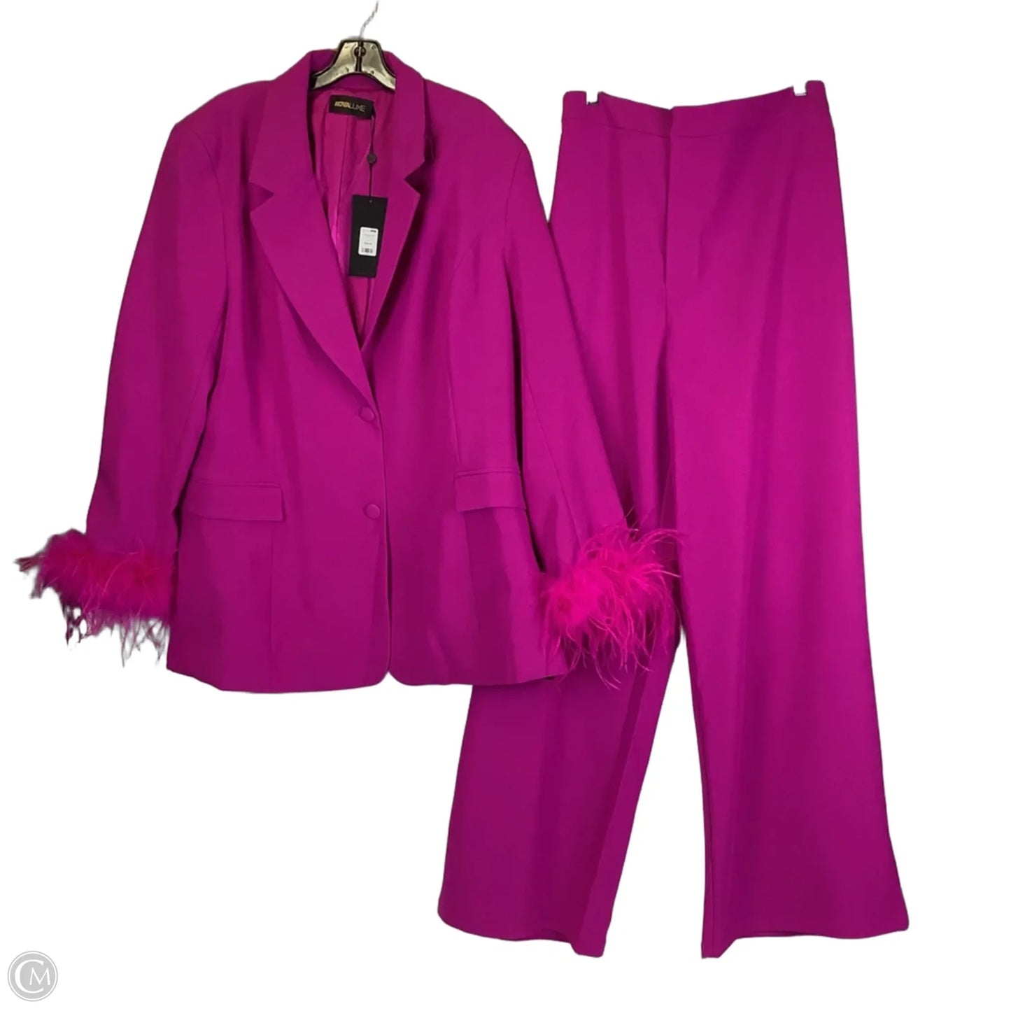 Pants Set 2pc By Fashion Nova In Pink, Size: 3x
