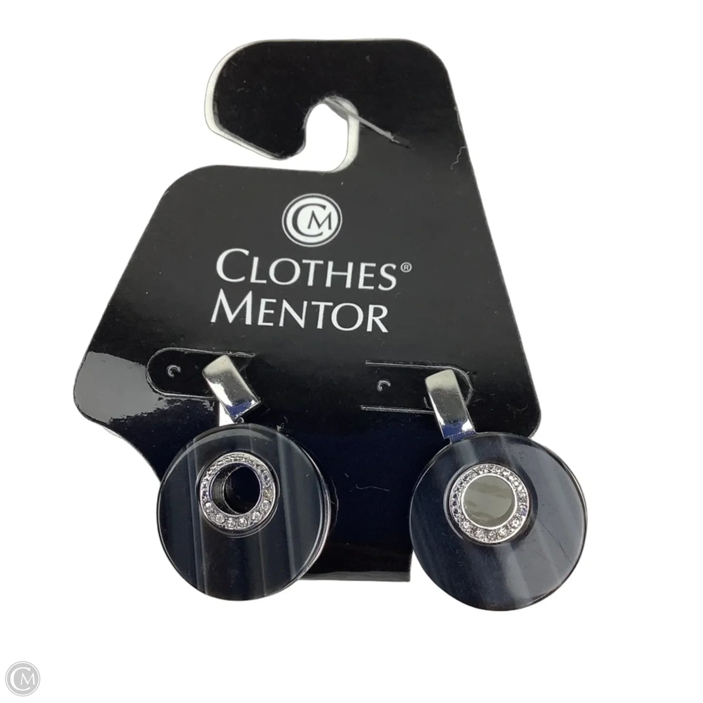 Earrings Dangle/drop By Chicos