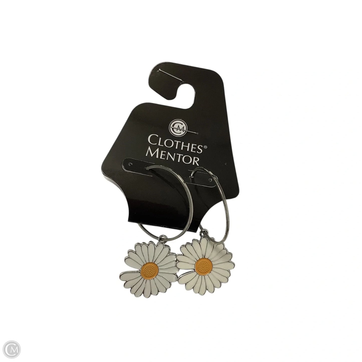 Earrings Dangle/drop By Clothes Mentor