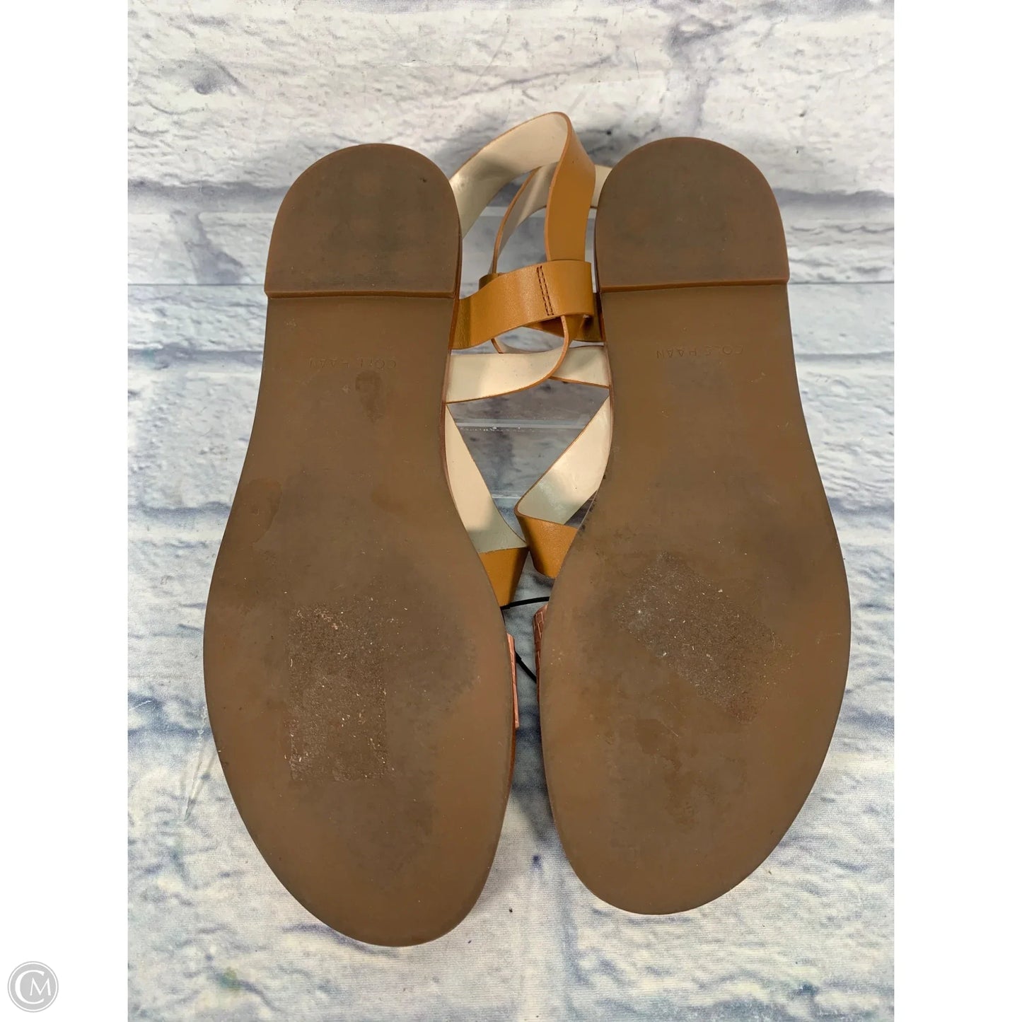 Sandals Flats By Cole-haan In Brown & Pink, Size: 11